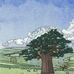 Ancient trees, Magic seals,  and Library rules.